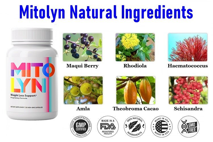 Mitolyn Ingredients