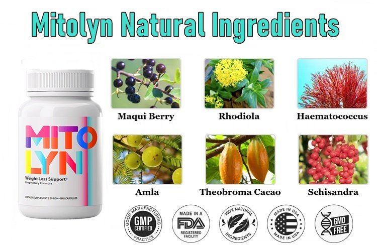 Mitolyn Ingredients